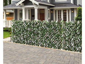 Recinzione a traliccio di salice "Fragon" - 200 x 100 cm - Verde