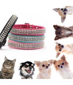 Collare Con Strass Per Cani Cane Gatti Animali Pet Brillantini Colori Assortiti         
