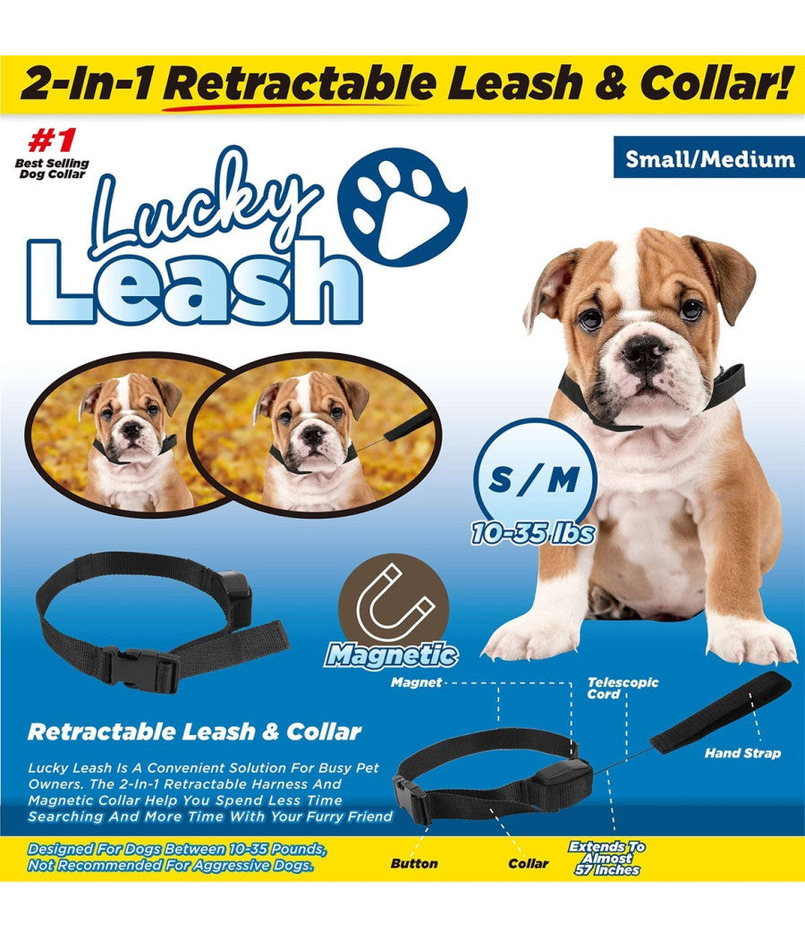 Collare Guinzaglio Retraibile 2 In 1 Per Cane Cani Taglia S/m Con Magnete         