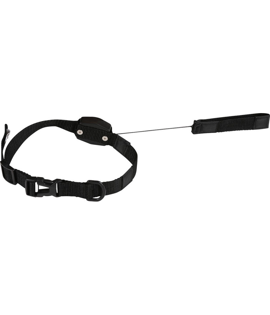 Collare Guinzaglio Retraibile 2 In 1 Per Cane Cani Taglia S/m Con Magnete         