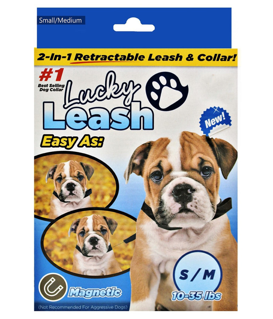Collare Guinzaglio Retraibile 2 In 1 Per Cane Cani Taglia S/m Con Magnete         
