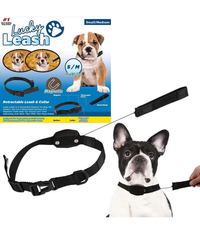 Collare Guinzaglio Retraibile 2 In 1 Per Cane Cani Taglia S/m Con Magnete         