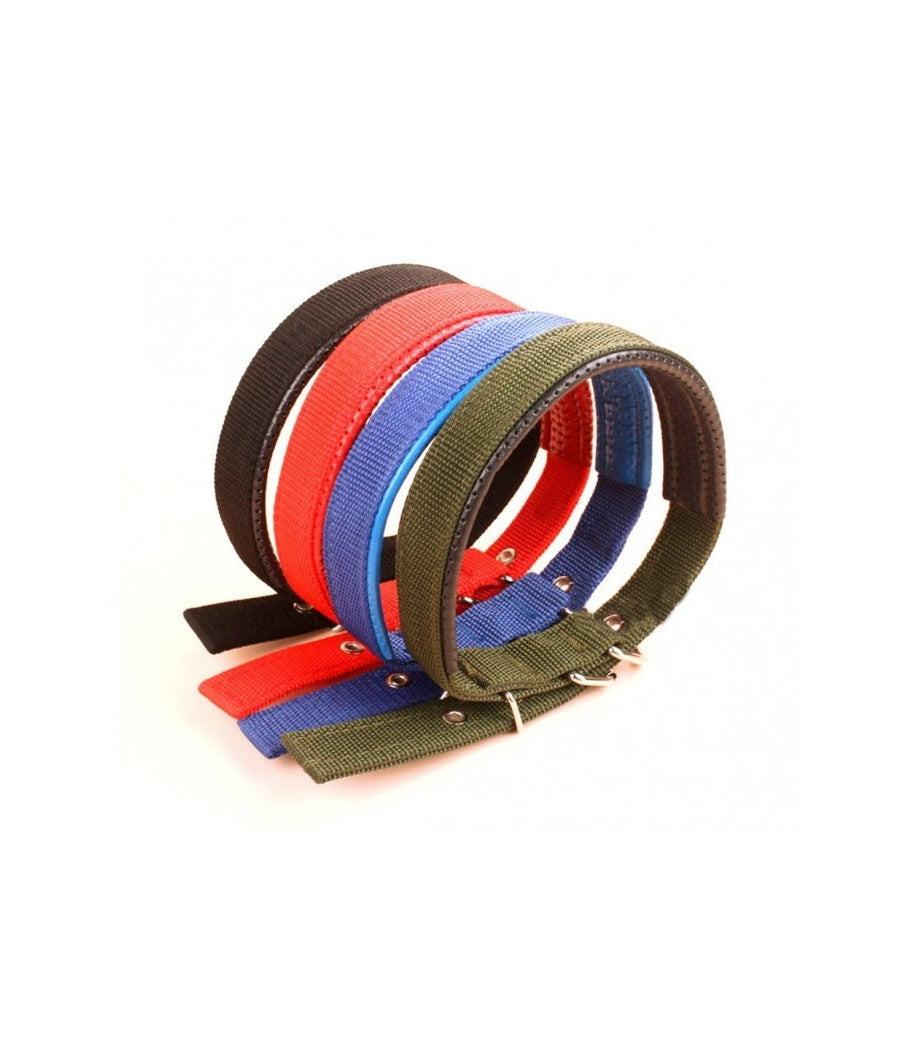 Collare In Nylon Con Imbottitura Per Cani Piccola Tg. Chiusura Fibbia Regolabile         