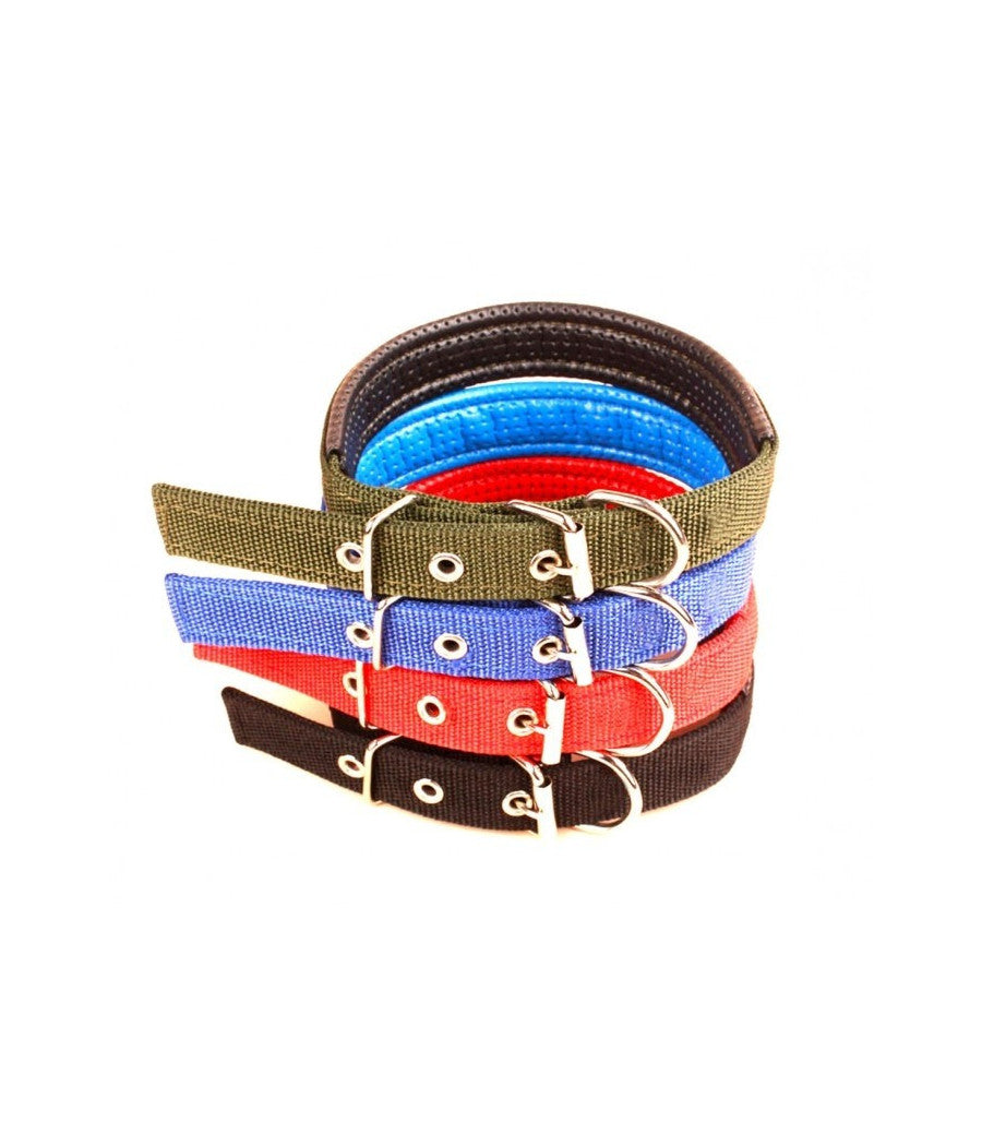 Collare In Nylon Con Imbottitura Per Cani Piccola Tg. Chiusura Fibbia Regolabile         