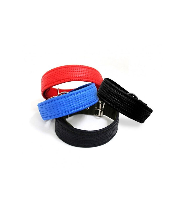 Collare In Nylon Con Imbottitura Per Cani Tg. Grande Chiusura Fibbia Regolabile         