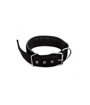 Collare In Nylon Con Imbottitura Per Cani Tg. Grande Chiusura Fibbia Regolabile         