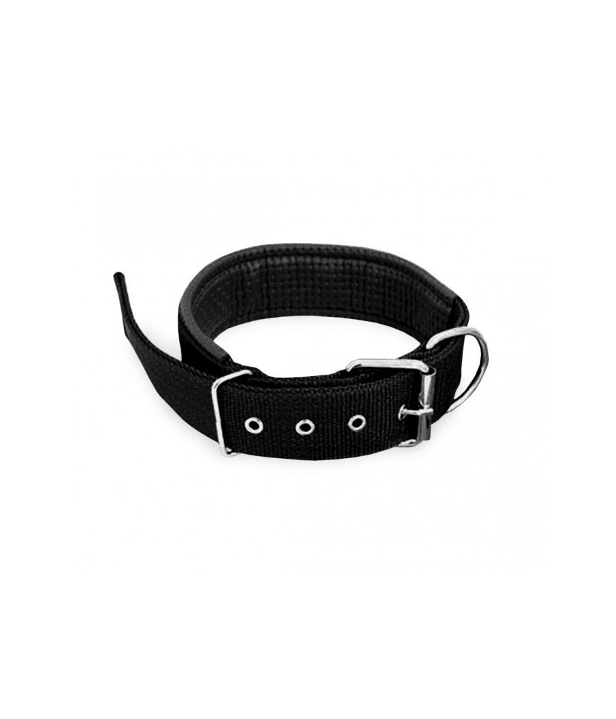 Collare In Nylon Con Imbottitura Per Cani Tg. Grande Chiusura Fibbia Regolabile         