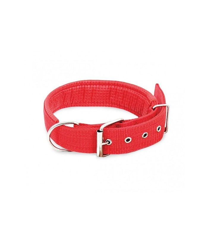 Collare In Nylon Con Imbottitura Per Cani Tg. Grande Chiusura Fibbia Regolabile         