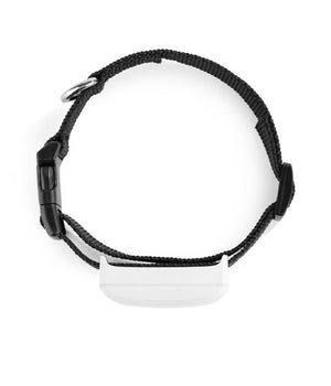 Collare Localizzatore Gps Gsm Tracker Per Animali Cane Gatto Con Collare         