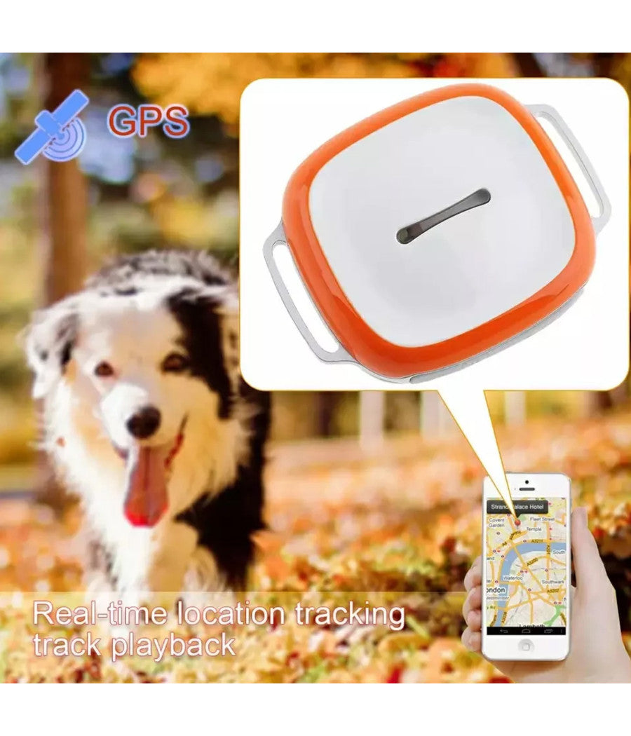 Collare Localizzatore Per Cane Gps Tracker Per Animali Bambini Auto Moto Color         