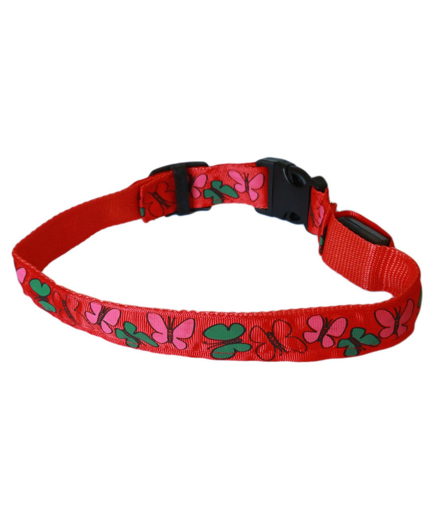 Collare Per Cane Cani A Led Luminoso Sicurezza Led Notturno Clip Fantasia Tg.l         