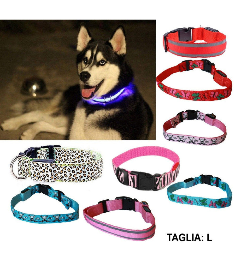 Collare Per Cane Cani A Led Luminoso Sicurezza Led Notturno Clip Fantasia Tg.l         