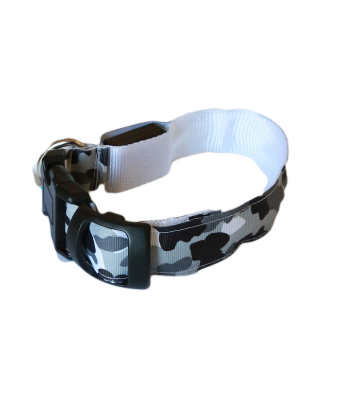 Collare Per Cane Cani A Led Luminoso Sicurezza Led Notturno Clip Fantasia Tg.s         