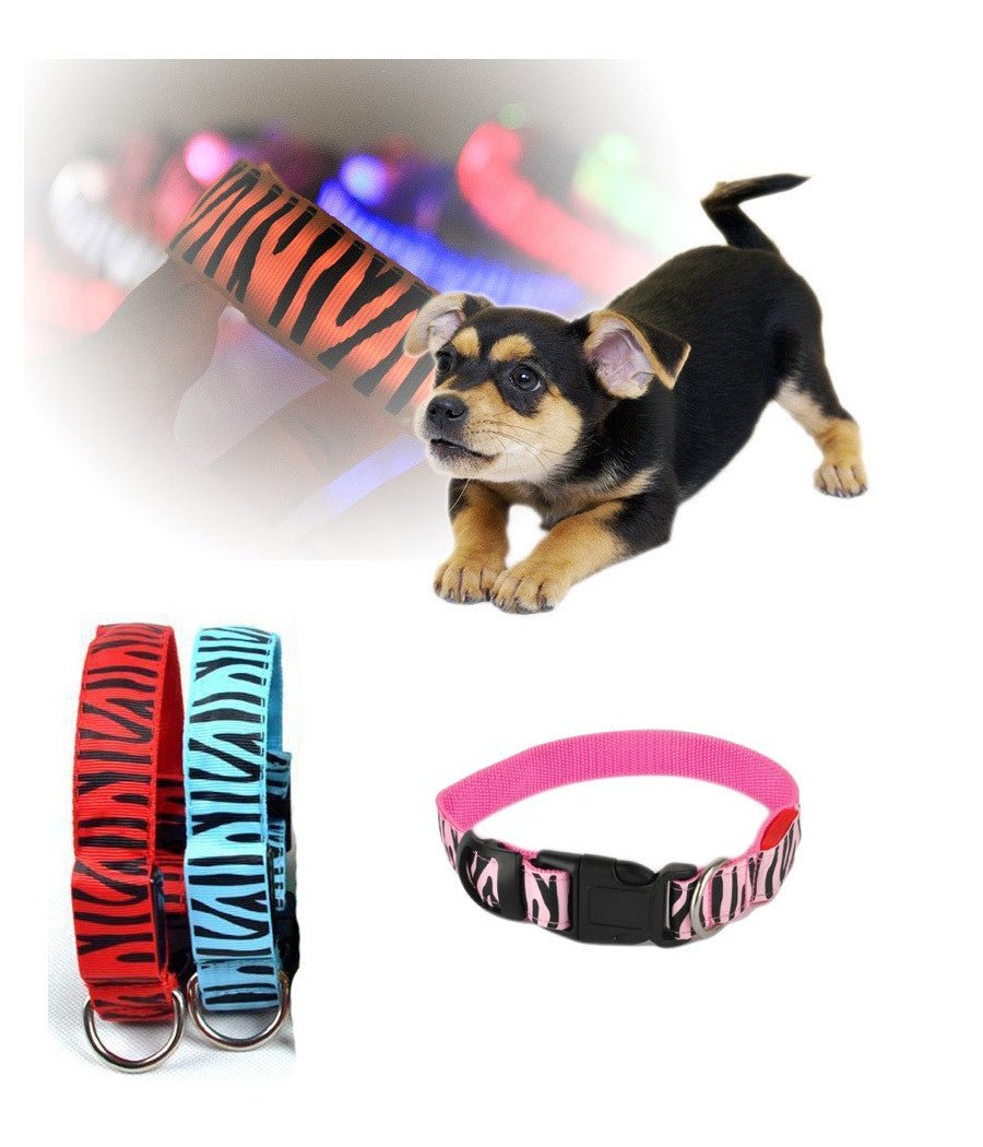 Collare Per Cane Cani A Led Luminoso Sicurezza Led Notturno Clip Fantasia Tg.s         