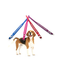 Collare Per Cane Cani Con Strass E Brillantini Brillantinato Taglia Piccola         