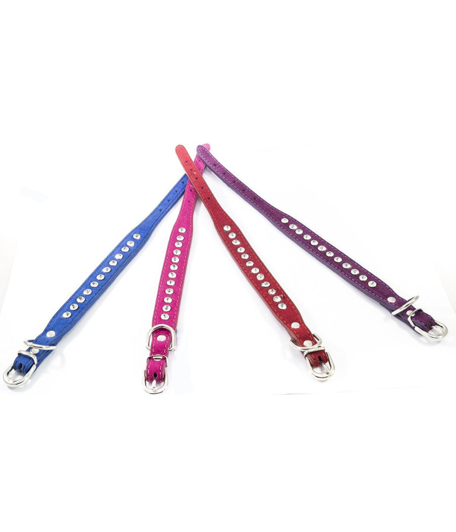 Collare Per Cane Cani Con Strass E Brillantini Brillantinato Taglia Piccola         