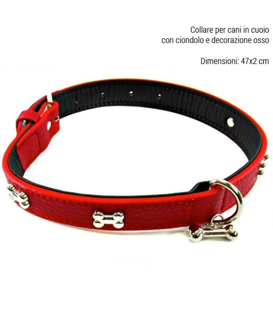 Collare Per Cani Cuccioli Gatti Animali In Cuoio 47 Cm Vari Colori Ciondolo Osso         