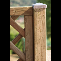 Composizione Dalia Losa