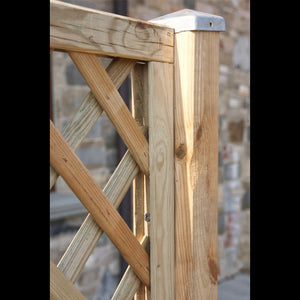 Composizione Dalia Losa