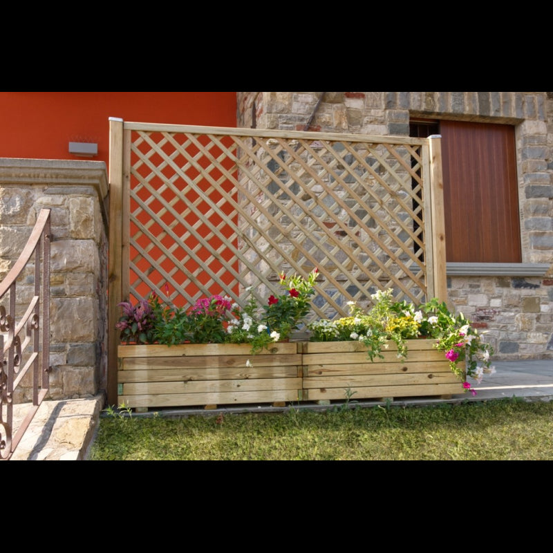 Composizione Dalia Losa