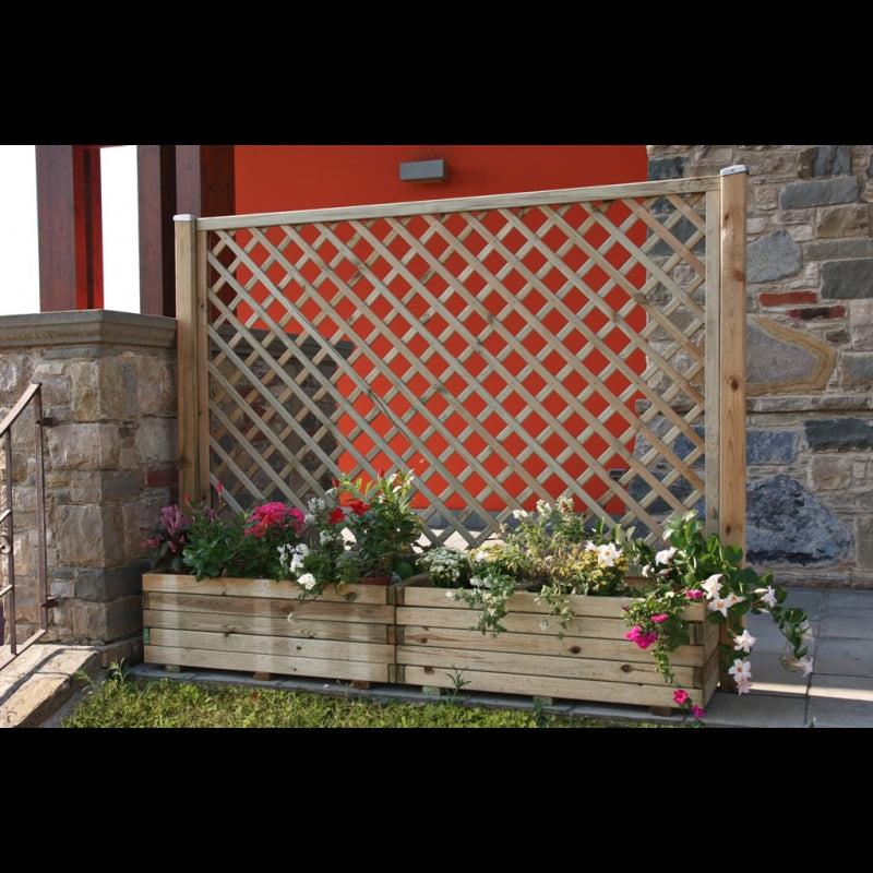 Composizione Dalia Losa