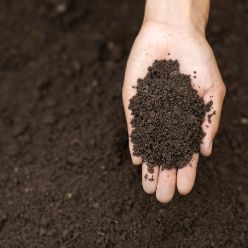 Altea compost confezione 3,5 kg