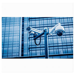 Connettore Adattatore Maschio Bnc / Presa Sat Femmina Telecamere Maxtech C-002         