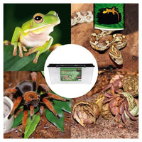 Trade Shop - Contenitore Box 17,5x10,5x11,5cm Terrario Acquario Pesci Animali In Plastica Cod. 204a -