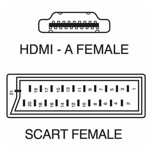 Trade Shop - Convertitore Adattatore Da Presa Scart Femmina A Hdmi Femmina Per Audio E Video         