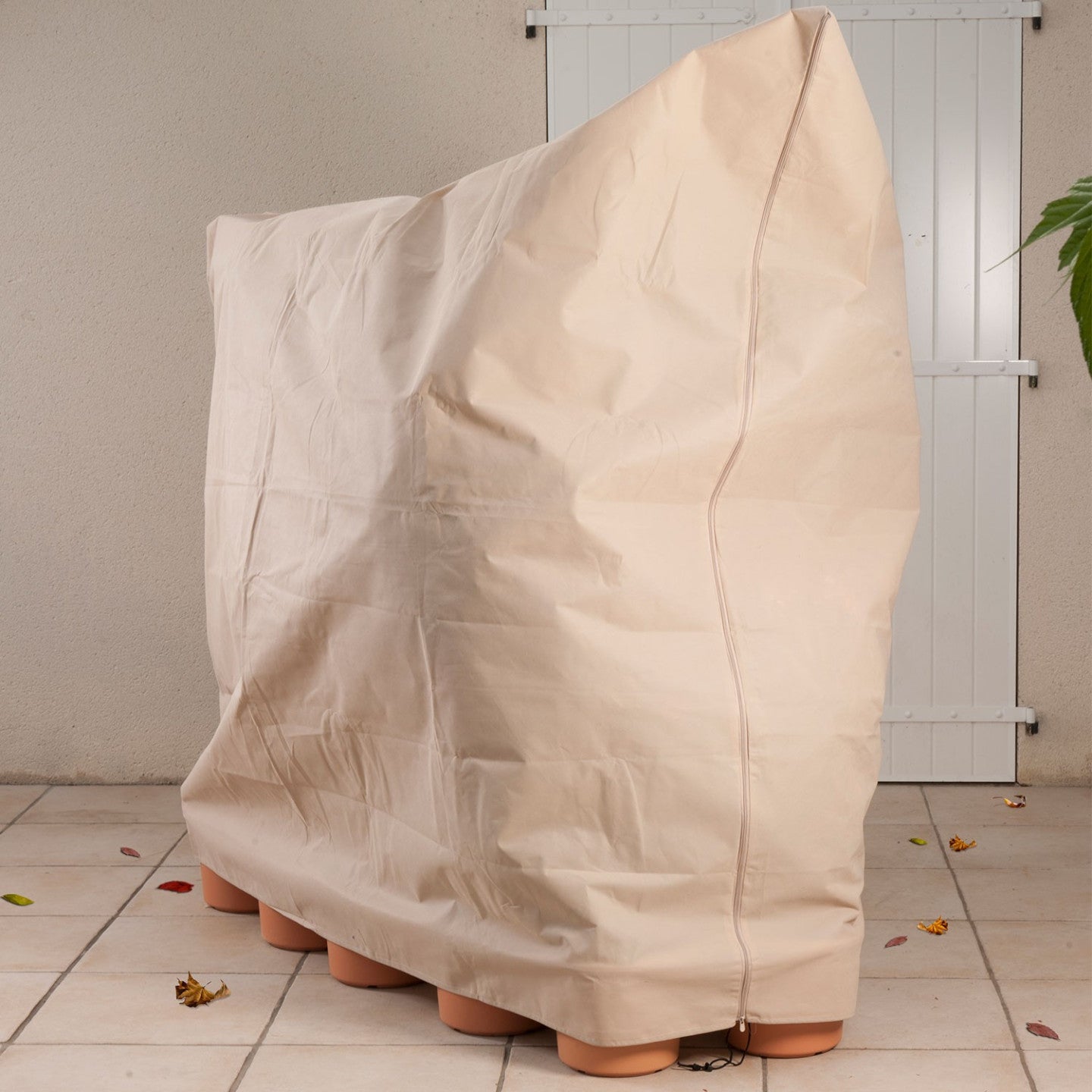 ProBache - Copertura invernale per piante 200 x 240 cm