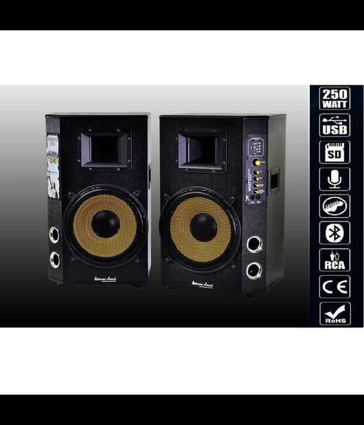 Coppia Casse Audio Usb Bluetooth Per Karaoke Dj Extreme Sound Maxtech Cx-2s10u-b         