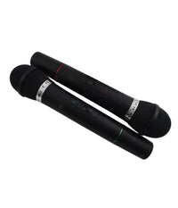 Coppia Microfoni Professionali Senza Fili Con Centralina Bicanale 009-4         