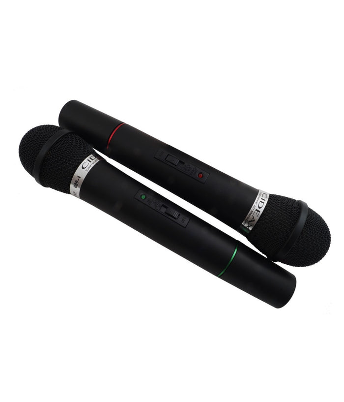 Coppia Microfoni Professionali Senza Fili Con Centralina Bicanale 009-4         