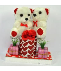 Coppia Peluche Orsetti Con Tazzone Fiore Idea Regalo Per San Valentino 4 Modelli         