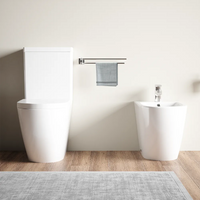 Coppia sanitari filomuro vaso tornado silent flush, sedile soft-close e bidet | Roma