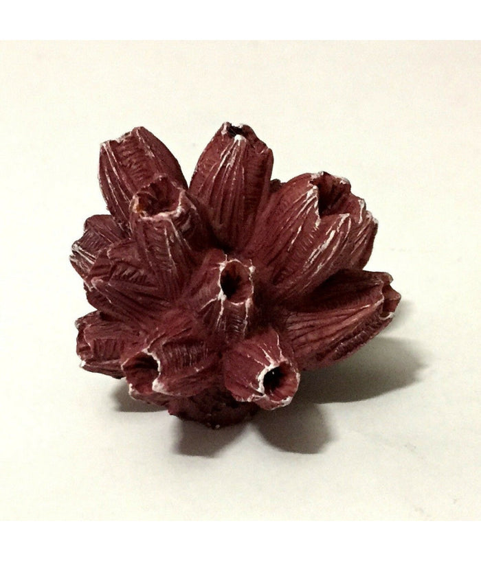 Corallo Finto In Resina 5 Cm Artificiale Per Decorazioni Acquario Addobbi         