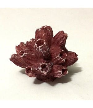 Corallo Finto In Resina 5 Cm Artificiale Per Decorazioni Acquario Addobbi         