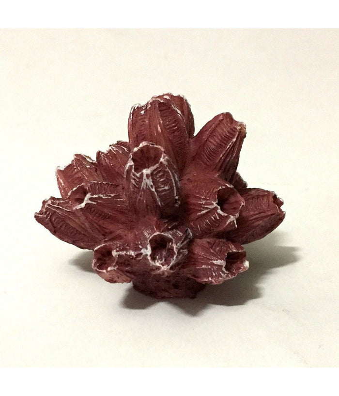 Corallo Finto In Resina 5 Cm Artificiale Per Decorazioni Acquario Addobbi         