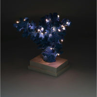 Corallo resina azzurro con led cm 20x17h24,5