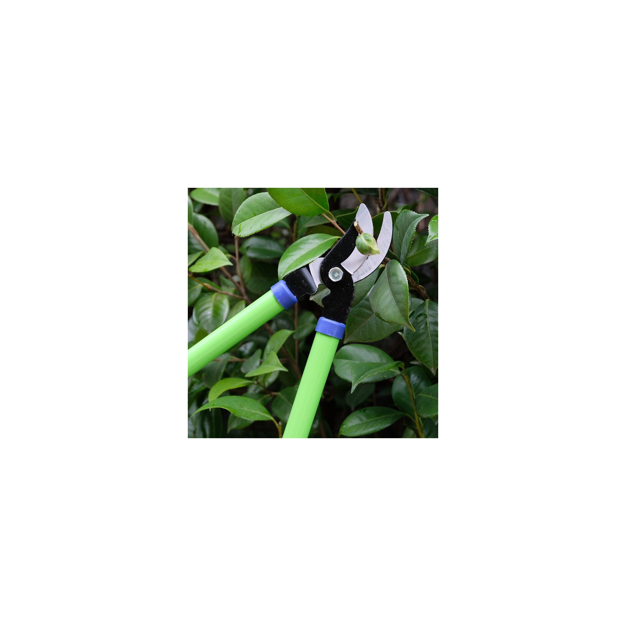 Taglia rami con lama dritta - Suan - Acciaio al carbonio - Dimensioni : 62 x 21,5 cm