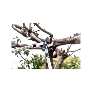 Taglia rami con lama dritta - Suan - Manico telescopico - Dimensioni: 88,5 x 29,5 x 3 cm