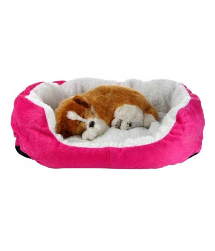 Cuccia Morbida Per Cani E Gatti Inverno Caldo In Pile 42x30x15cm Con Cuscino         