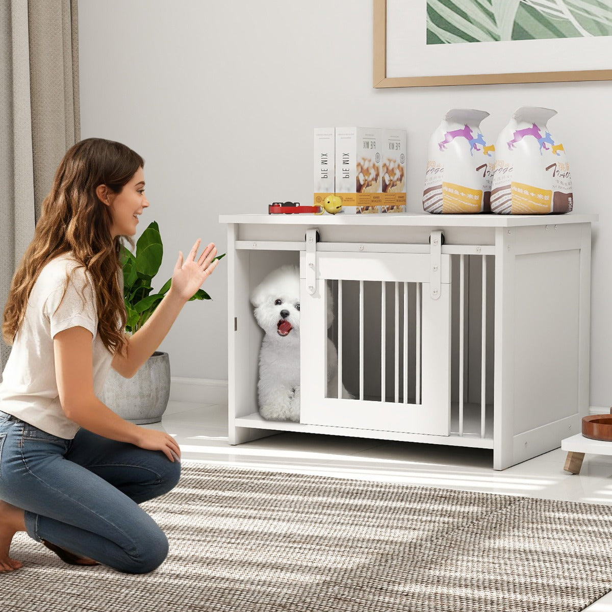 Cuccia per cani gabbia in legno con ampio piano superiore e porta scorrevole, Cuccia moderna di piccola Bianco-Casette e lettini