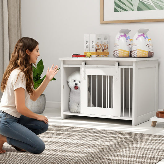 Cuccia per cani gabbia in legno con ampio piano superiore e porta scorrevole, Cuccia moderna di piccola Bianco-Casette e lettini