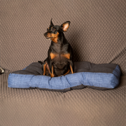 Materasso per cane e gatto, morbido, ortopedico(Large) | Buggy