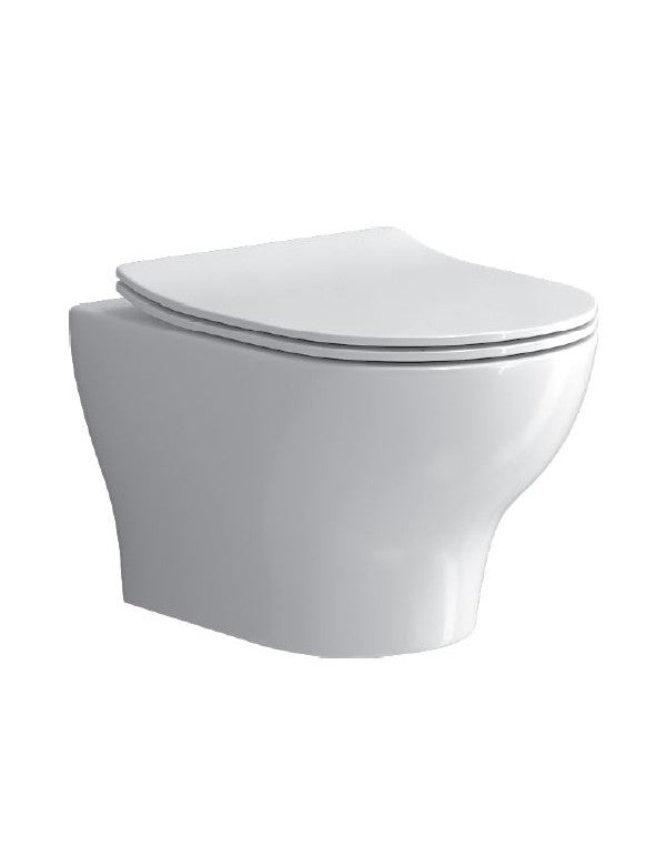 Vaso WC sospeso EOLIS 52x35x30 cm con sedile freno a ribalta