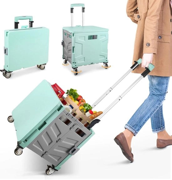 Carrello per spese, pieghevole, carrello di trasporto, fino a 50 kg, cassetto da 50 l, contenitore per spese con coperchio, maniglia di trazione in alluminio estendibile, 4 ruote metalliche girevoli 360°, 103 x 43 x 38 cm