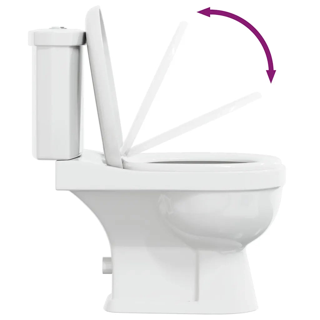 Toilette con Cisterna Bianca CFW9588131
