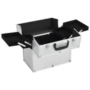 Valigia per Cosmetici 38x23x34 cm Argento in Alluminio CFW3218534
