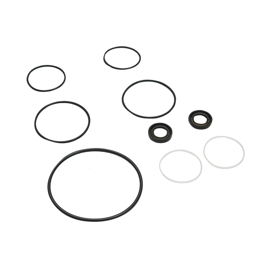 Kit guarnizioni riparazione pompa idraulica servosterzo Massey Ferguson codice OEM 1810417M91